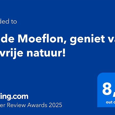 Wilde Moeflon, Geniet Van De Vrije Natuur! オッテルロ エクステリア 写真